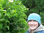 Picking elderflowers