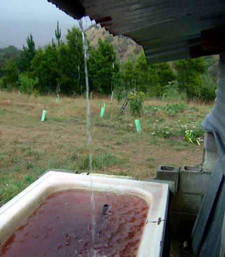 Harvesting rain