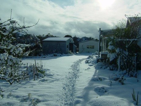 Snow - cold, white and good for the soil?