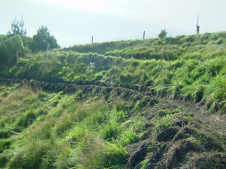 The way of the swale