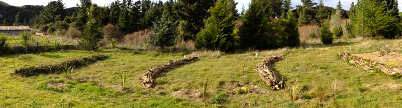 Raised woody swale / hugelkultur construction