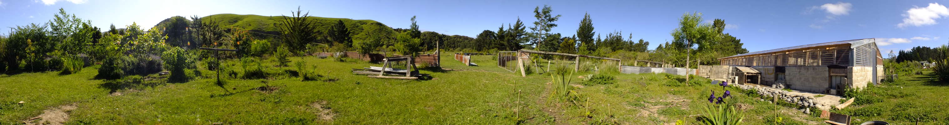 Transforming the chicken house