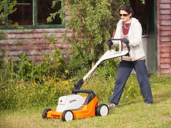 Electric lawnmower upgrade