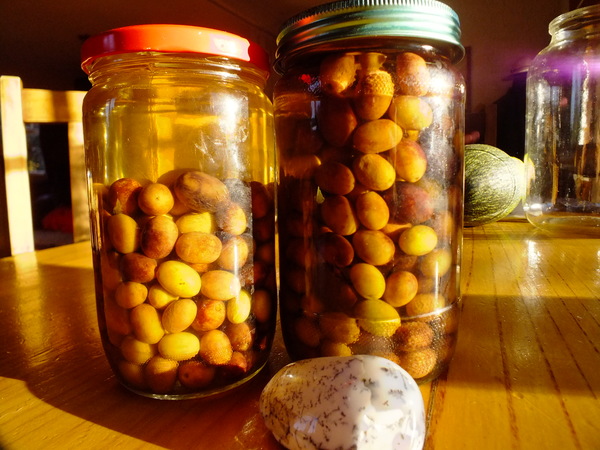 Mediterranean style preserved olives