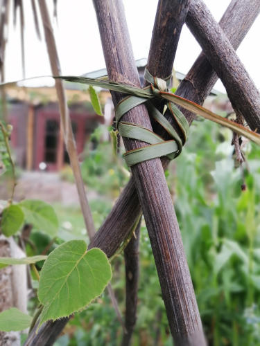 Practical uses for flax