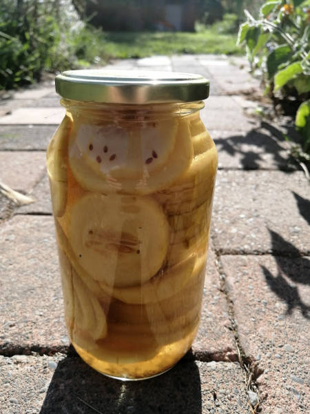 Pickled cucumbers