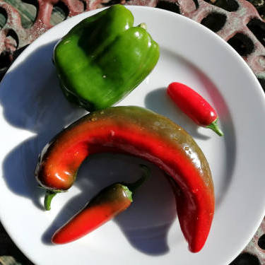 48141_assorted-capsicum