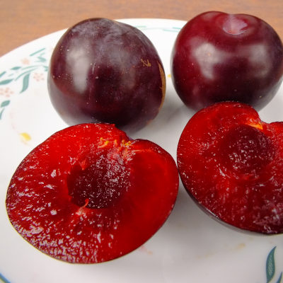 MacVerna Plum