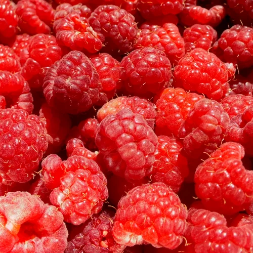 Picking Raspberry